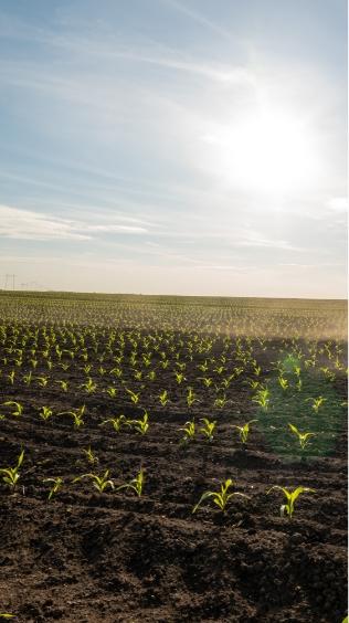 S SERİSİ GÜBRE SERPME MAKİNELERİ | HMS