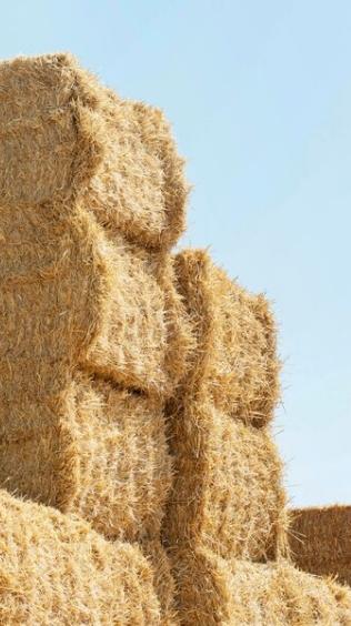 GUNNY LİFT YÜK KALDIRICI | HMS